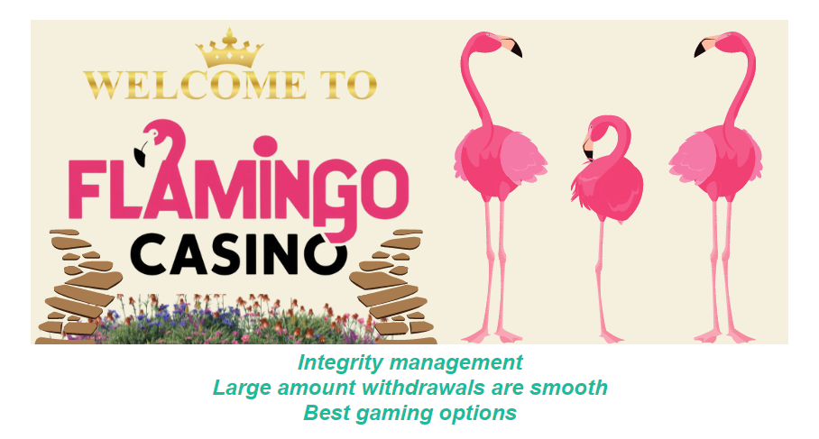 Flamingo welcome banner