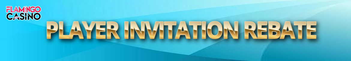 Player Invitation Rebate